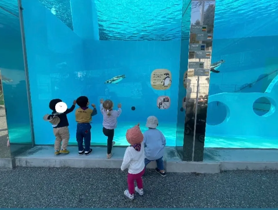 福岡市動物園に行ってきました！