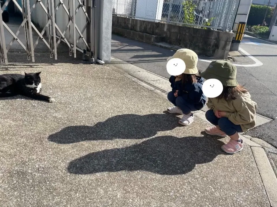 ねこさんじーっ！