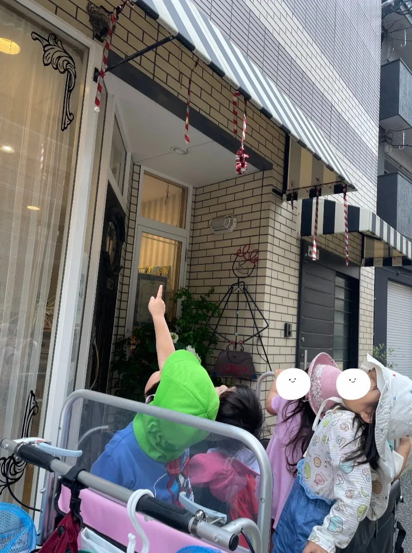 つばめの赤ちゃんがいました！