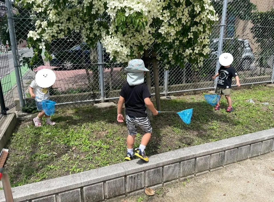 虫さんどこかな〜？