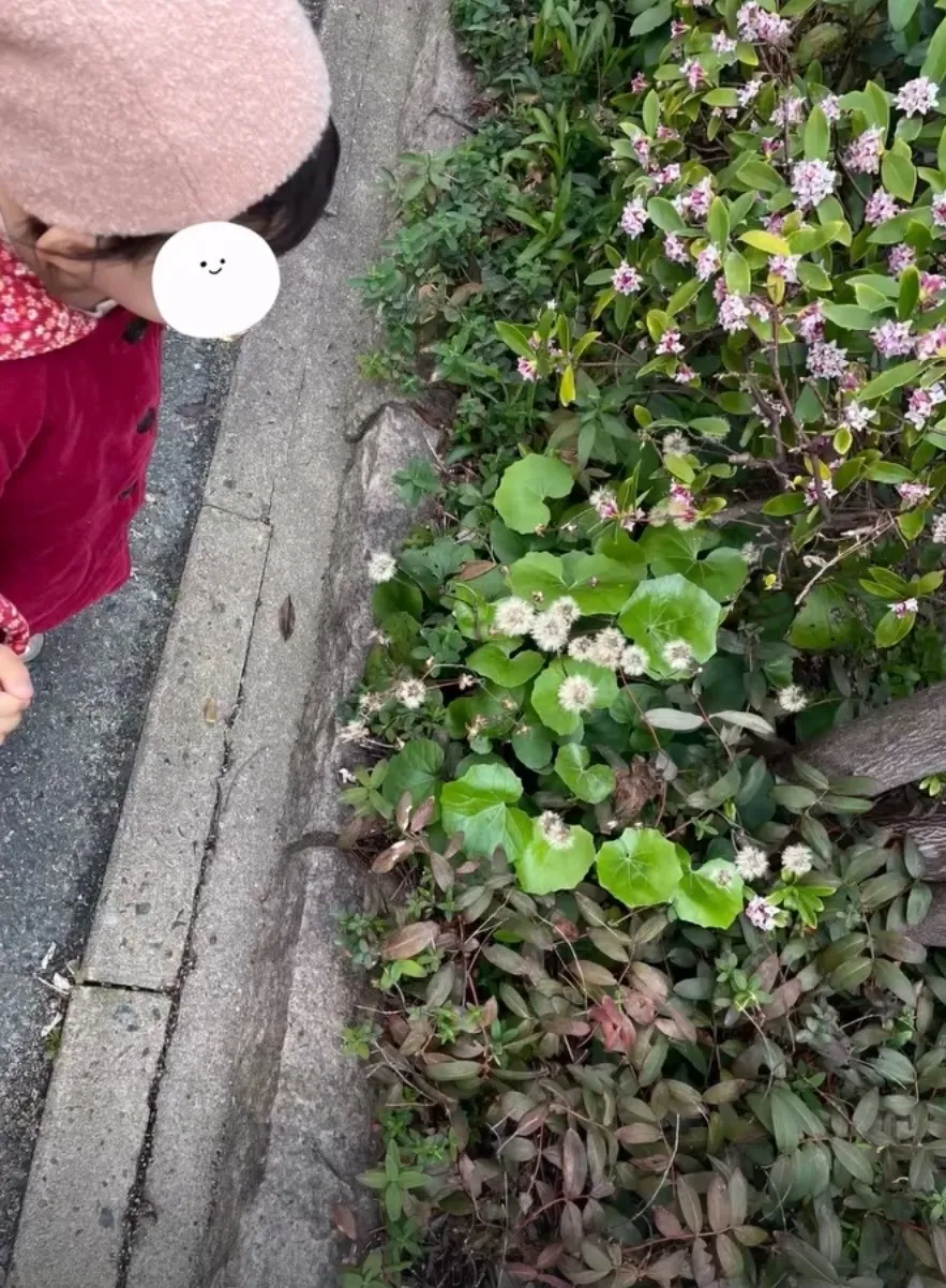 春を見つけて♡