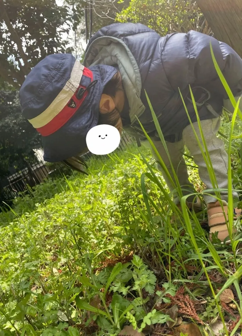 おまめどこだ〜？