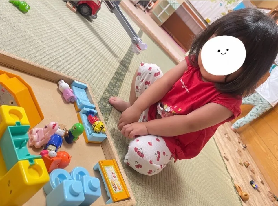 素敵なおうちができました！