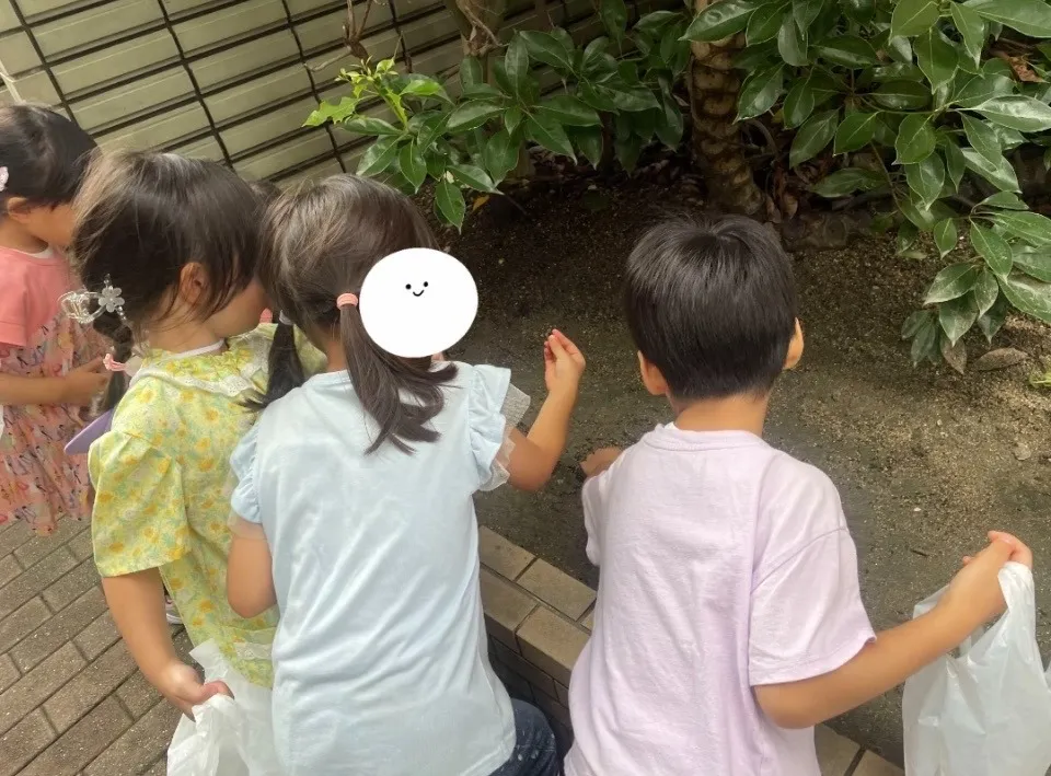 ダンゴムシ発見！